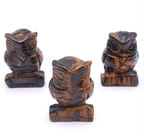 Chouette Oeil de Tigre
