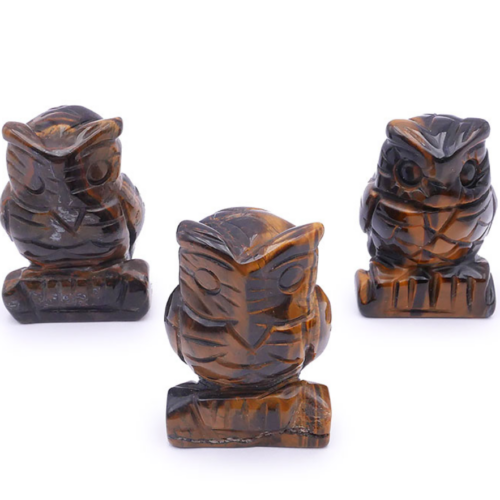 Chouette Oeil de Tigre